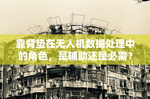 靠背垫在无人机数据处理中的角色，是辅助还是必需？