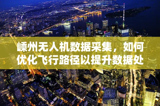 嵊州无人机数据采集，如何优化飞行路径以提升数据处理效率？