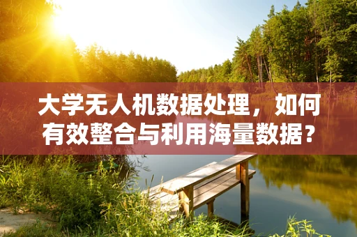 大学无人机数据处理，如何有效整合与利用海量数据？