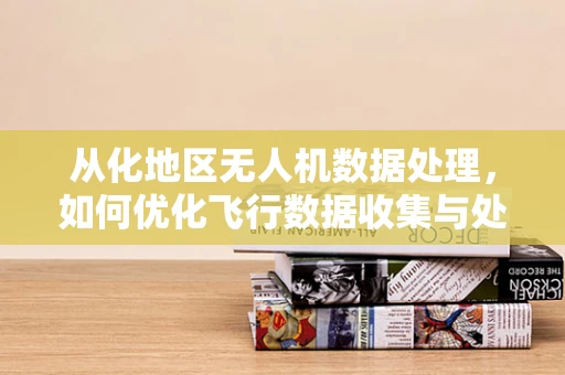 从化地区无人机数据处理，如何优化飞行数据收集与处理效率？