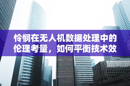 怜悯在无人机数据处理中的伦理考量，如何平衡技术效率与人文关怀？