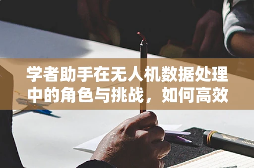学者助手在无人机数据处理中的角色与挑战，如何高效整合多源数据？