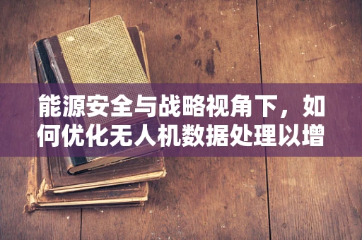 能源安全与战略视角下，如何优化无人机数据处理以增强能源设施监控？
