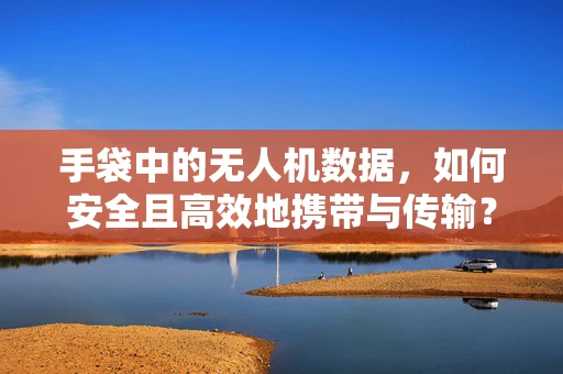 手袋中的无人机数据，如何安全且高效地携带与传输？