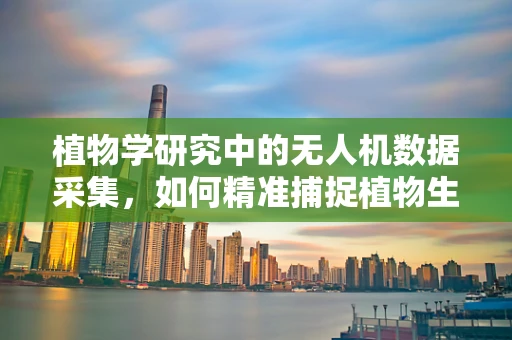 植物学研究中的无人机数据采集，如何精准捕捉植物生长的微妙变化？
