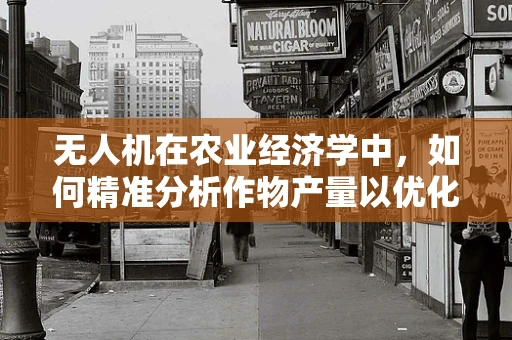 无人机在农业经济学中，如何精准分析作物产量以优化资源配置？