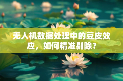 无人机数据处理中的豆皮效应，如何精准剔除？
