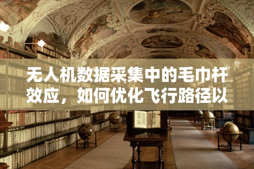 无人机数据采集中的毛巾杆效应，如何优化飞行路径以减少数据冗余？
