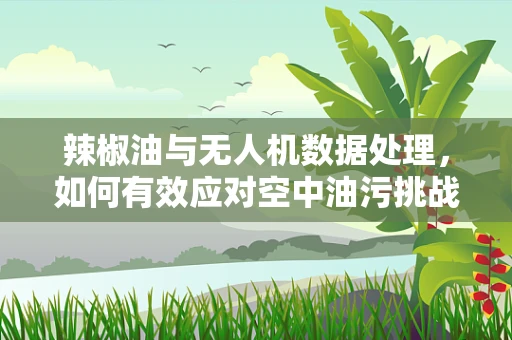 辣椒油与无人机数据处理，如何有效应对空中油污挑战？