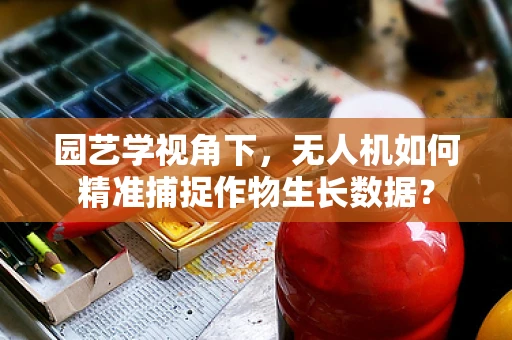园艺学视角下，无人机如何精准捕捉作物生长数据？