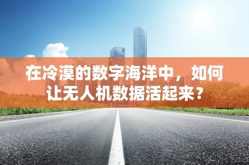 在冷漠的数字海洋中，如何让无人机数据活起来？