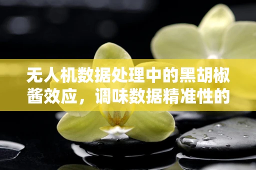 无人机数据处理中的黑胡椒酱效应，调味数据精准性的艺术