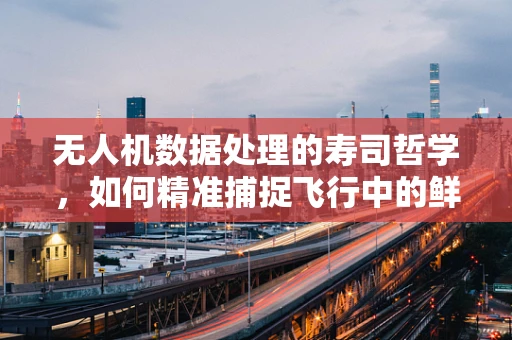 无人机数据处理的寿司哲学，如何精准捕捉飞行中的鲜美时刻？
