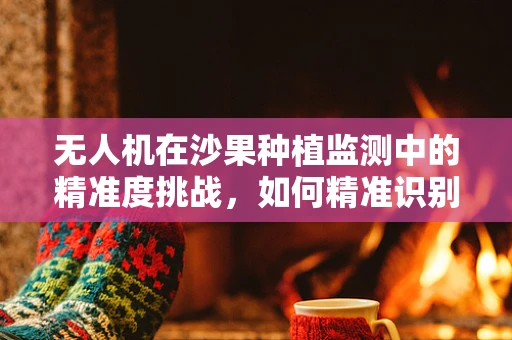无人机在沙果种植监测中的精准度挑战，如何精准识别沙果的成熟度？