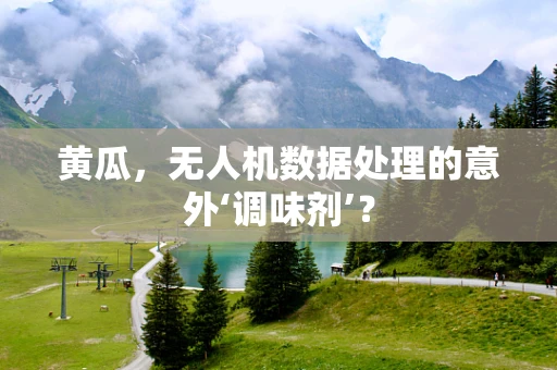 黄瓜，无人机数据处理的意外‘调味剂’？