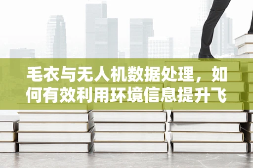 毛衣与无人机数据处理，如何有效利用环境信息提升飞行效率？
