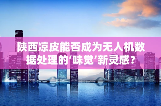 陕西凉皮能否成为无人机数据处理的‘味觉’新灵感？