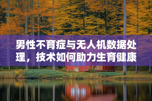 男性不育症与无人机数据处理，技术如何助力生育健康研究？