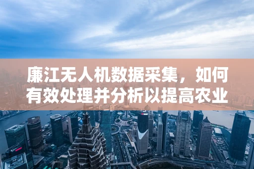 廉江无人机数据采集，如何有效处理并分析以提高农业监测精度？