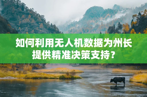 如何利用无人机数据为州长提供精准决策支持？