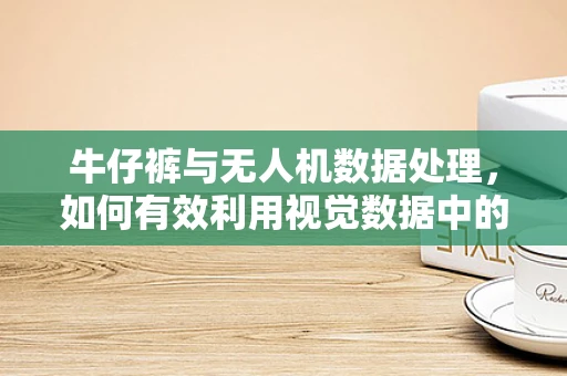 牛仔裤与无人机数据处理，如何有效利用视觉数据中的‘时尚元素’？
