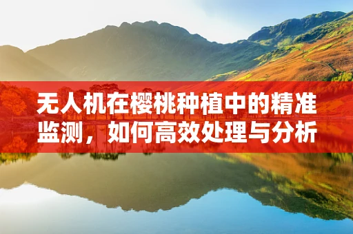 无人机在樱桃种植中的精准监测，如何高效处理与分析数据？