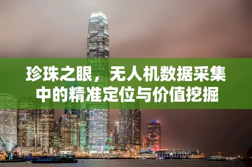 珍珠之眼，无人机数据采集中的精准定位与价值挖掘