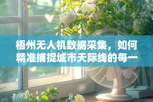 梧州无人机数据采集，如何精准捕捉城市天际线的每一处细节？