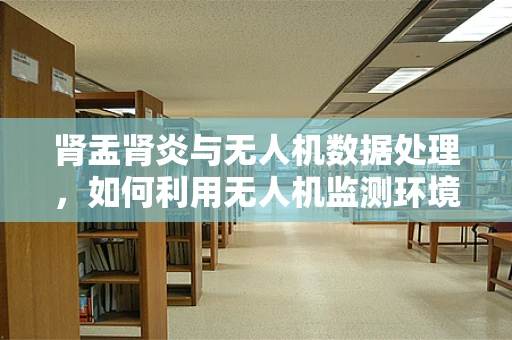 肾盂肾炎与无人机数据处理，如何利用无人机监测环境变化以预防疾病？