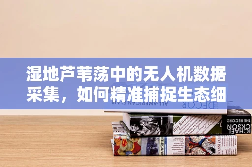 湿地芦苇荡中的无人机数据采集，如何精准捕捉生态细节？