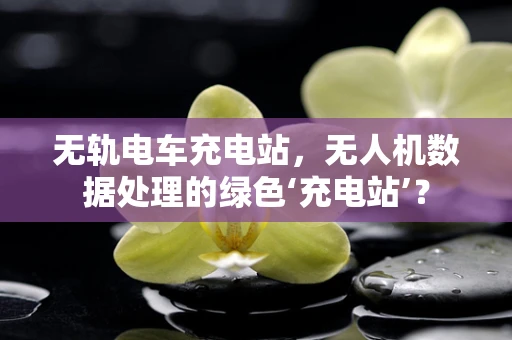 无轨电车充电站，无人机数据处理的绿色‘充电站’？