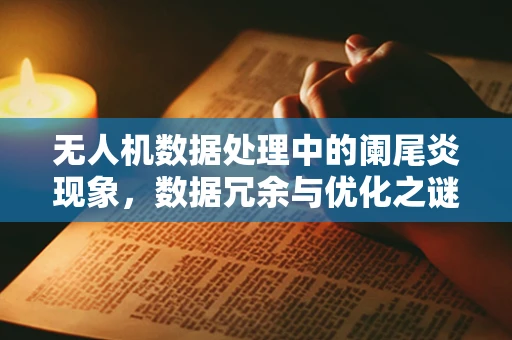 无人机数据处理中的阑尾炎现象，数据冗余与优化之谜