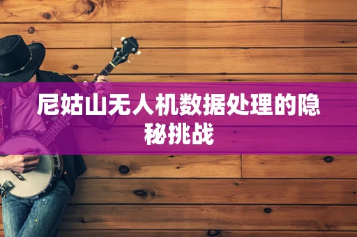 尼姑山无人机数据处理的隐秘挑战