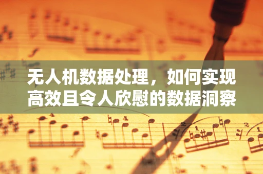 无人机数据处理，如何实现高效且令人欣慰的数据洞察？