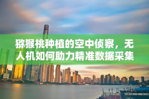 猕猴桃种植的空中侦察，无人机如何助力精准数据采集？