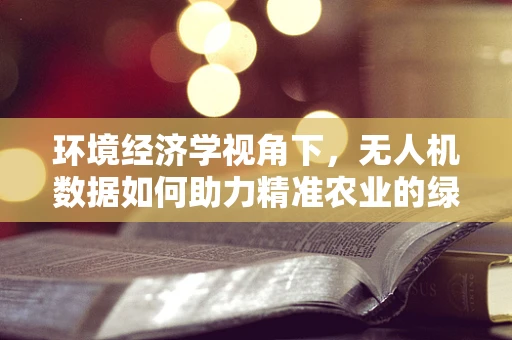 环境经济学视角下，无人机数据如何助力精准农业的绿色转型？