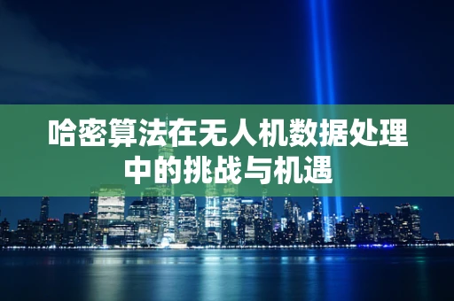 哈密算法在无人机数据处理中的挑战与机遇