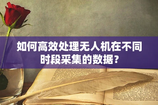 如何高效处理无人机在不同时段采集的数据？