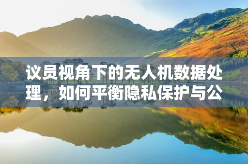 议员视角下的无人机数据处理，如何平衡隐私保护与公共安全？