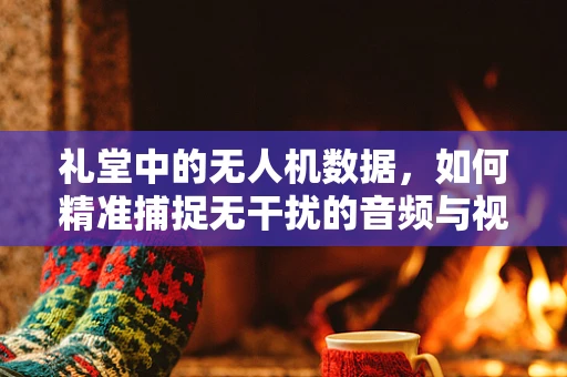 礼堂中的无人机数据，如何精准捕捉无干扰的音频与视频？