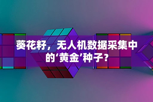 葵花籽，无人机数据采集中的‘黄金’种子？
