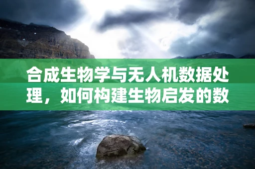 合成生物学与无人机数据处理，如何构建生物启发的数据处理算法？