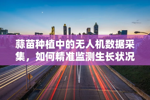 蒜苗种植中的无人机数据采集，如何精准监测生长状况？