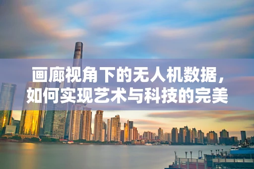 画廊视角下的无人机数据，如何实现艺术与科技的完美融合？