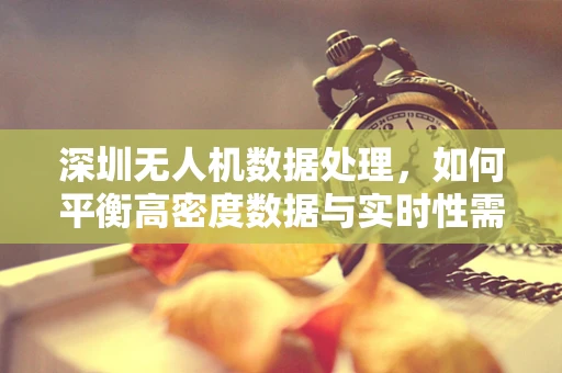 深圳无人机数据处理，如何平衡高密度数据与实时性需求？