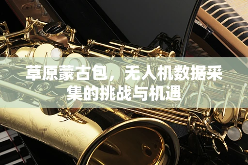 草原蒙古包，无人机数据采集的挑战与机遇