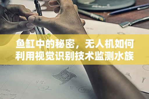 鱼缸中的秘密，无人机如何利用视觉识别技术监测水族环境？
