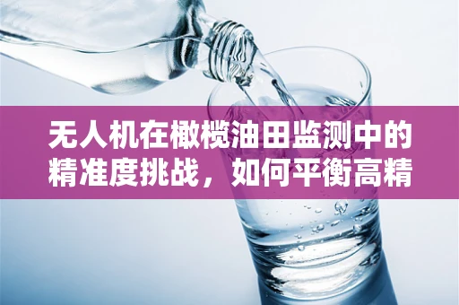 无人机在橄榄油田监测中的精准度挑战，如何平衡高精度与成本效益？