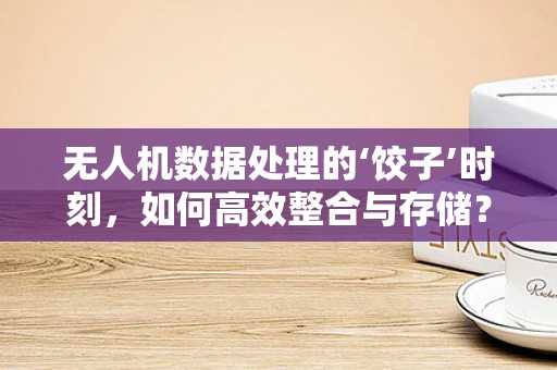 无人机数据处理的‘饺子’时刻，如何高效整合与存储？