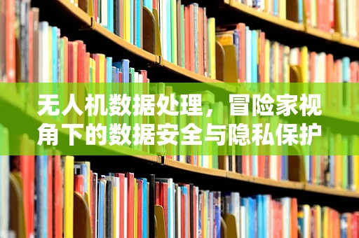 无人机数据处理，冒险家视角下的数据安全与隐私保护